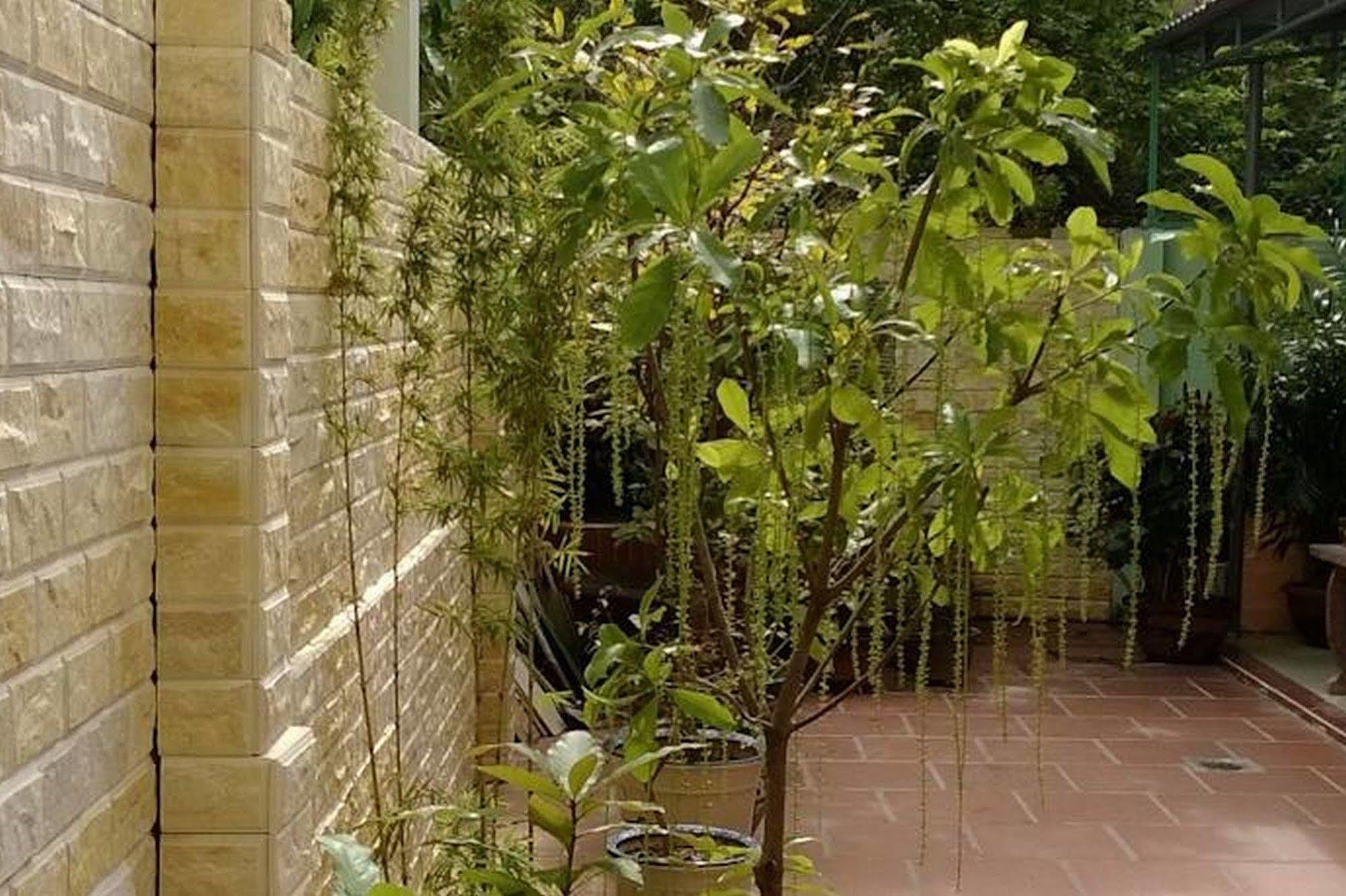 Hi Hop Yen Homestay Hoi An Eksteriør billede